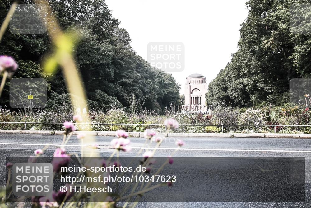 13.09.2026 - Stadtparktriathlon H.Heesch http://msf.ph/oto/10347623 13.09.2026 11:16:36 Radfahren 481, 662, 663, 676, 691 meine-sportfotos.de