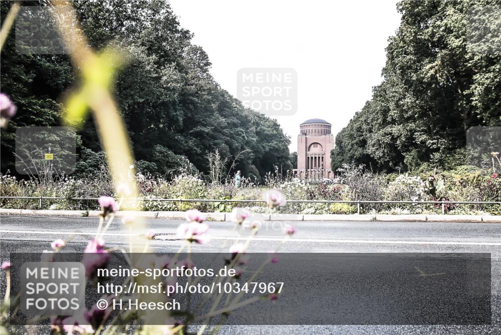13.09.2026 - Stadtparktriathlon H.Heesch http://msf.ph/oto/10347967 13.09.2026 11:18:55 Radfahren 603, 685, 694 meine-sportfotos.de