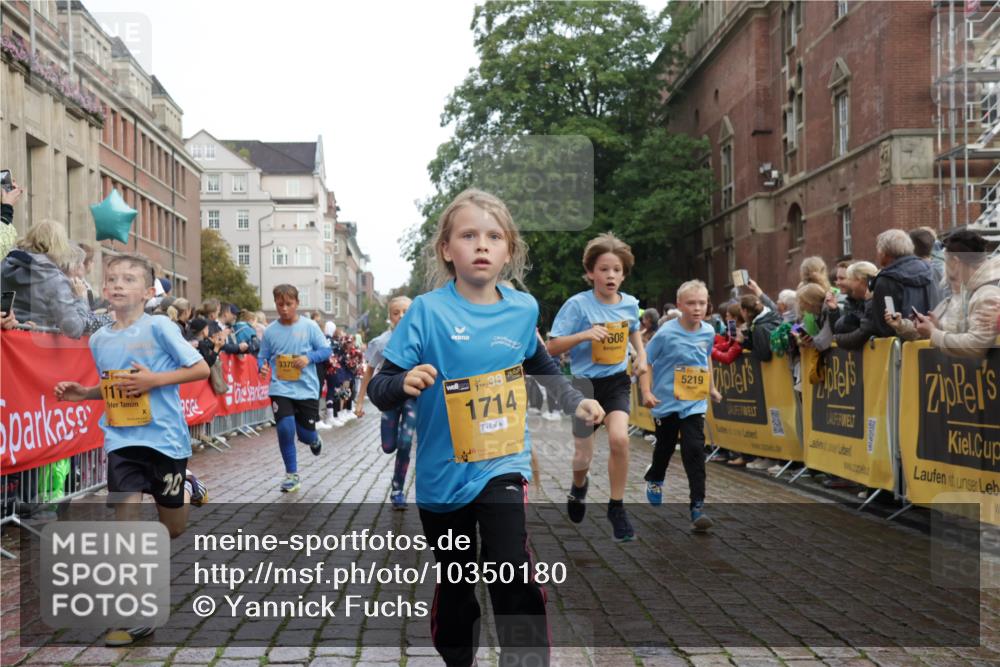 13.09.2026 - Kiel Lauf Yannick Fuchs http://msf.ph/oto/10350180 13.09.2026 08:57:24 Ziel 700, 1769, 2128, 2129, 3382, 4834, 7478, 10892, 81, 482, 653, 1222, 2384, 2479, 2543, 3034, 3161, 3305, 3665, 4558, 4680, 4901, 4908, 5003, 5223, 5333, 5340, 5719, 5809, 6361, 6807, 7559, 7752, 7927, 8094, 8341, 8424, 9156, 9307, 9542, 9564, 9826, 9940, 10042, 10321, 10603, 11423, 11495, 11558, 11986, 12062, 12215, 12455, 12512, 160, 406, 689, 1051, 1546, 1714, 2439, 3359, 3375, 4182, 4321, 4382, 4383, 5006, 5219, 5244, 5762, 5765, 5984, 6459, 7547, 7608, 7609, 7715, 9062 meine-sportfotos.de