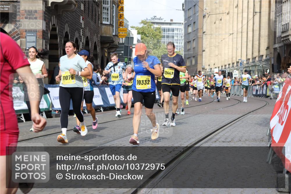 13.09.2026 - 21. swb-Marathon Bremen Strokosch-Dieckow http://msf.ph/oto/10372975 13.09.2026 11:01:50 Ziel 10181, 10251, 10497, 10560, 10647, 10648, 10678, 11305, 11324, 11459, 11467, 11550, 11551, 11666, 11788, 11796, 11798, 11969, 11970, 12047, 12062, 10257, 10409, 10444, 10500, 10617, 10803, 10817, 10924, 11115, 11268, 11436, 11859, 12016, 12095, 12145, 12360, 12412, 12466, 12506 meine-sportfotos.de