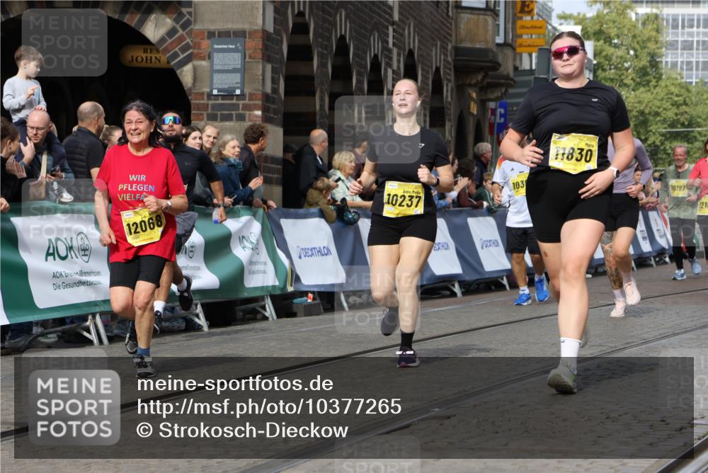 13.09.2026 - 21. swb-Marathon Bremen Strokosch-Dieckow http://msf.ph/oto/10377265 13.09.2026 11:03:26 Ziel 10150, 10185, 10195, 10528, 10531, 10598, 10715, 10727, 10731, 10959, 11070, 11095, 11313, 11493, 11676, 11697, 11830, 11836, 12214, 12421, 12432, 12448, 12483, 10090, 10091, 10327, 10420, 10569, 10902, 10950, 11211, 11411, 11595, 11655, 11746, 12074 meine-sportfotos.de