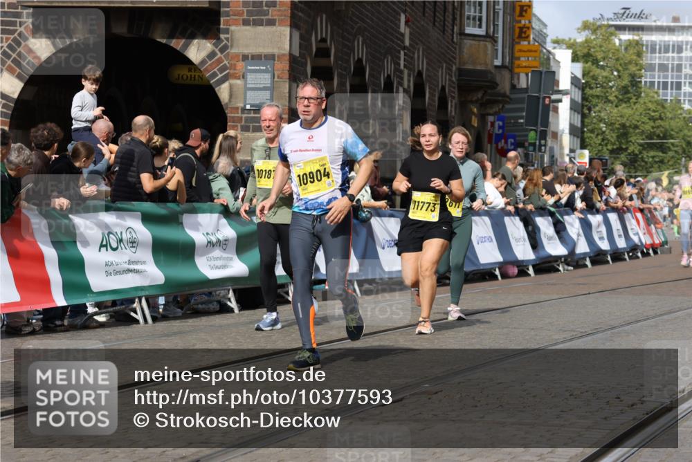 13.09.2026 - 21. swb-Marathon Bremen Strokosch-Dieckow http://msf.ph/oto/10377593 13.09.2026 11:03:32 Ziel 10092, 10150, 10185, 10195, 10237, 10528, 10531, 10598, 10715, 10724, 10727, 10959, 11070, 11095, 11493, 11676, 11830, 11836, 12068, 12184, 12185, 12214, 12421, 12432, 12483, 10090, 10091, 10327, 10569, 10796, 10902, 10950, 11595, 11868, 12074 meine-sportfotos.de