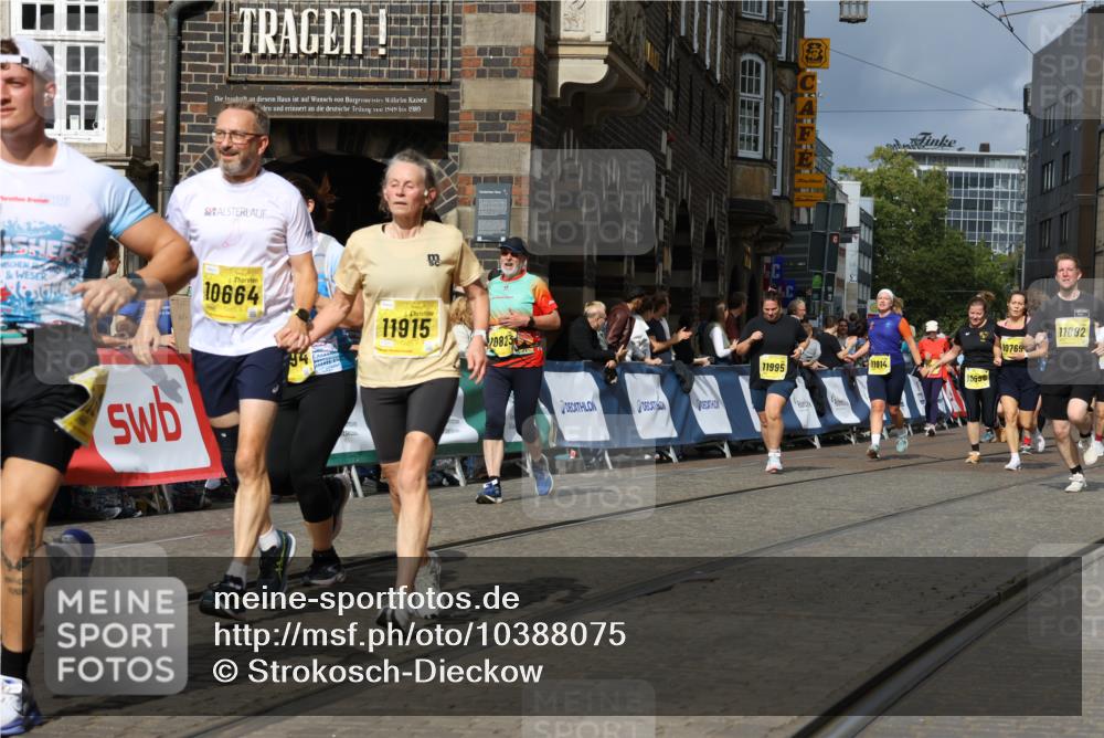 13.09.2026 - 21. swb-Marathon Bremen Strokosch-Dieckow http://msf.ph/oto/10388075 13.09.2026 11:09:29 Ziel 10217, 10314, 10321, 10455, 10570, 10630, 10686, 10983, 11011, 11091, 11138, 11304, 11531, 11578, 11764, 11905, 11987, 12155, 12192, 12337, 12491, 12554, 13607, 10234, 10386, 10417, 10424, 10696, 10712, 10785, 10990, 10991, 11192, 11937, 12409, 12474 meine-sportfotos.de