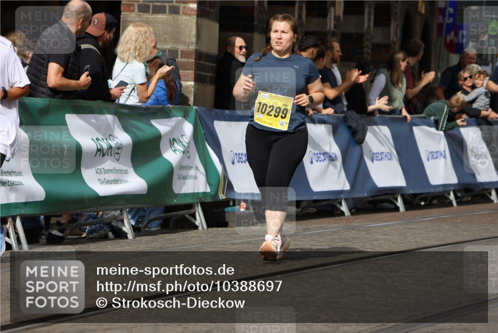 13.09.2026 - 21. swb-Marathon Bremen Strokosch-Dieckow http://msf.ph/oto/10388697 13.09.2026 11:10:06 Ziel 10234, 10386, 10417, 10435, 10645, 10696, 10712, 10737, 10785, 10990, 10991, 11383, 11437, 11441, 11937, 12409, 12449, 10361, 10362, 10963, 11080, 11382, 11725, 11732, 11933, 12117, 12293 meine-sportfotos.de