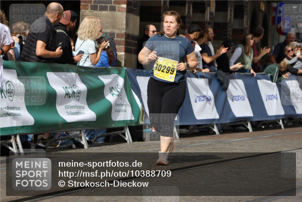 13.09.2026 - 21. swb-Marathon Bremen Strokosch-Dieckow http://msf.ph/oto/10388709 13.09.2026 11:10:06 Ziel 10234, 10386, 10417, 10435, 10645, 10696, 10712, 10737, 10785, 10990, 10991, 11383, 11437, 11441, 11937, 12409, 12449, 10361, 10362, 10963, 11080, 11382, 11725, 11732, 11933, 12117, 12293 meine-sportfotos.de