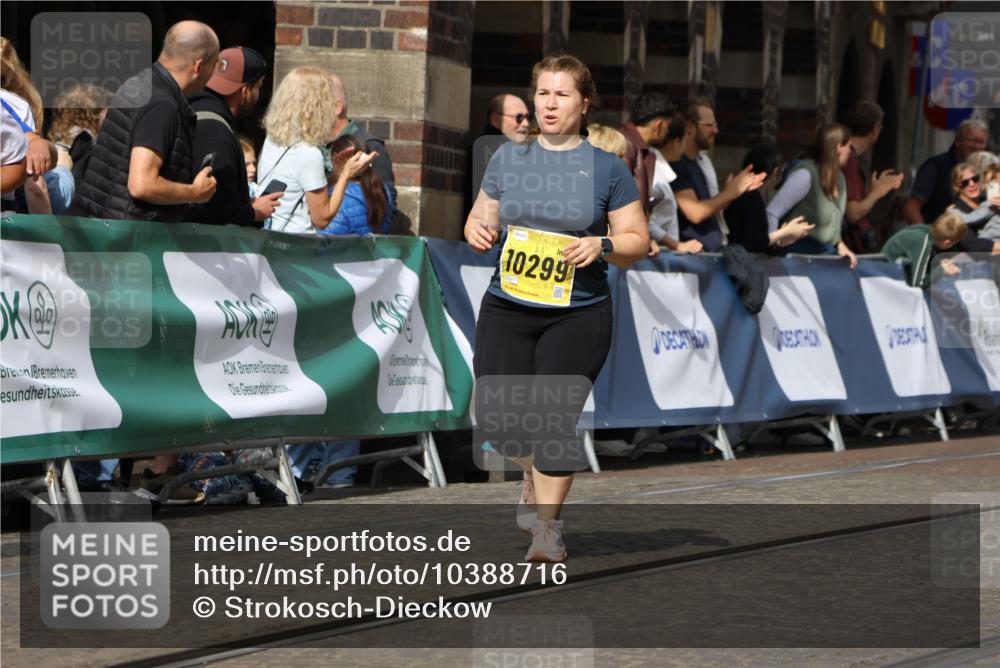 13.09.2026 - 21. swb-Marathon Bremen Strokosch-Dieckow http://msf.ph/oto/10388716 13.09.2026 11:10:06 Ziel 10234, 10386, 10417, 10435, 10645, 10696, 10712, 10737, 10785, 10990, 10991, 11383, 11437, 11441, 11937, 12409, 12449, 10361, 10362, 10963, 11080, 11382, 11725, 11732, 11933, 12117, 12293 meine-sportfotos.de