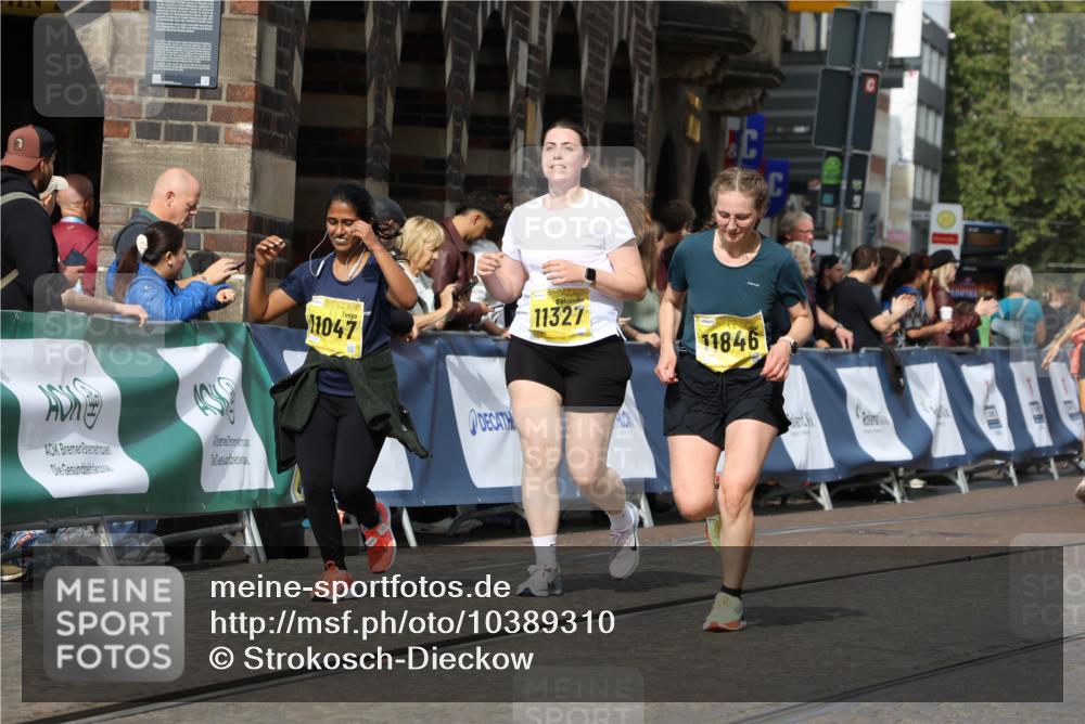 13.09.2026 - 21. swb-Marathon Bremen Strokosch-Dieckow http://msf.ph/oto/10389310 13.09.2026 11:10:50 Ziel 10002, 10169, 10247, 10361, 10362, 10422, 10706, 10719, 10768, 10791, 10890, 11080, 11283, 11298, 11300, 11309, 11382, 11583, 11736, 11957, 11982, 12183, 12227, 12454, 12550, 10148, 10163, 10527, 10547, 10644, 10653, 10792, 10841, 11043, 11237, 11483, 11691, 11756, 11993, 12401, 12507 meine-sportfotos.de