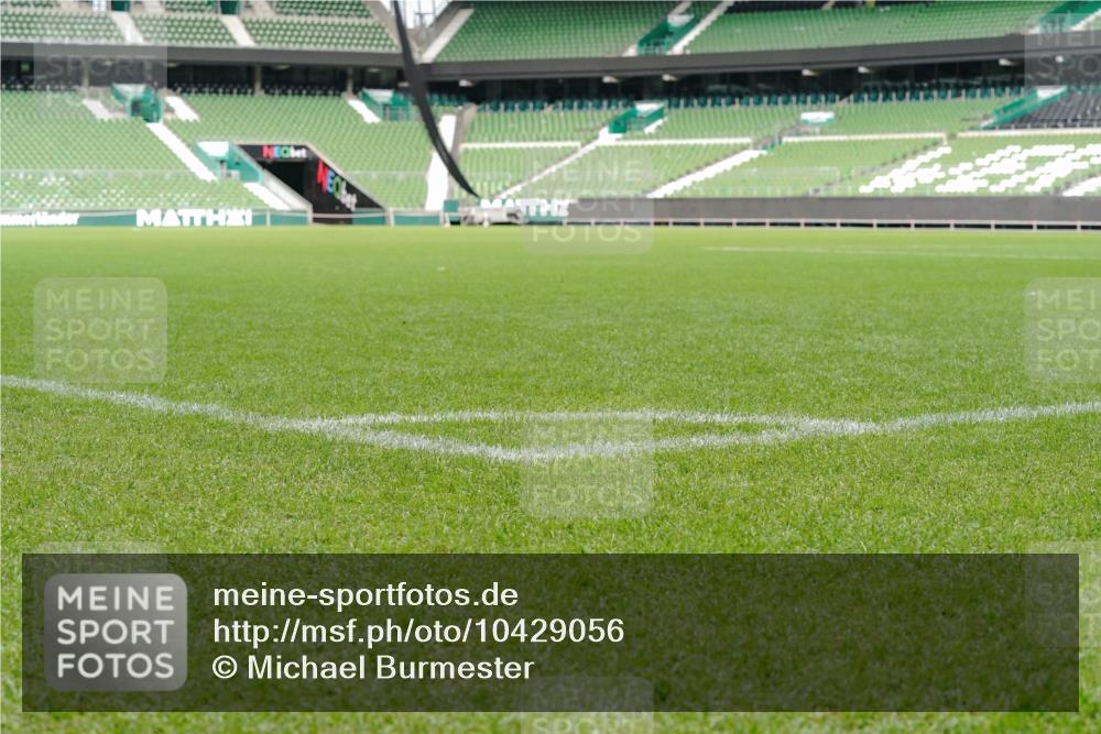 13.09.2026 - 21. swb-Marathon Bremen Michael Burmester http://msf.ph/oto/10429056 13.09.2026 11:44:24 Laufen im Stadion  meine-sportfotos.de