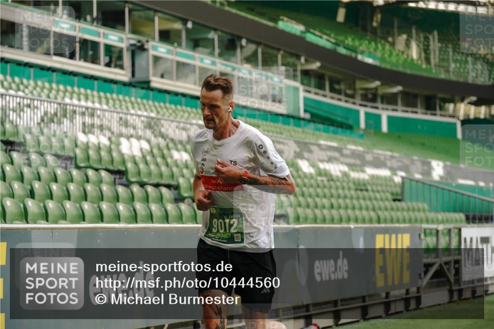 13.09.2026 - 21. swb-Marathon Bremen Michael Burmester http://msf.ph/oto/10444560 13.09.2026 12:45:22 Laufen im Stadion 195, 280, 339, 474, 493, 508, 623, 678, 681, 715, 788, 969, 1017, 1181, 1241, 1264, 1277, 1301, 1335, 1498, 1696, 1770, 1863, 1937, 1975, 2020, 2084, 2098, 2297, 2889, 3092, 3271, 3609, 4110, 4118, 4157, 4328, 4739, 5092, 5719, 5996, 6918, 6973, 7015, 7206, 7265, 7336, 7478, 7715, 8028, 8054, 8096, 8319, 8325, 8331, 8670, 8756, 8936, 9070, 9129, 9137, 9273, 9306, 9495, 9583, 9642, 13063, 13168, 13237, 371, 439, 650, 744, 957, 1411, 1667, 1822, 1850 meine-sportfotos.de