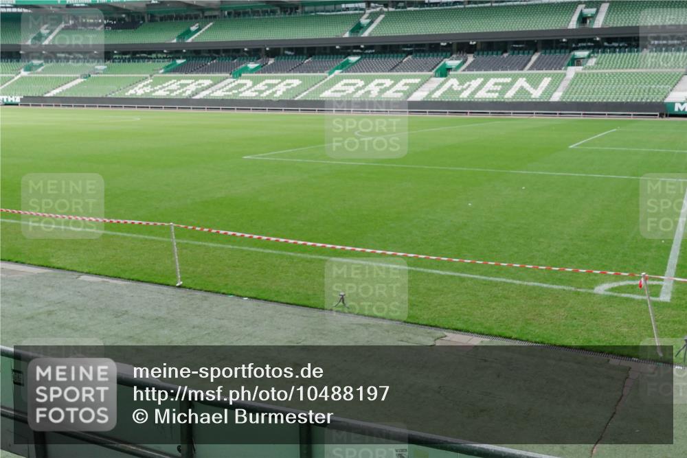 13.09.2026 - 21. swb-Marathon Bremen Michael Burmester http://msf.ph/oto/10488197 13.09.2026 10:05:44 Laufen im Stadion  meine-sportfotos.de