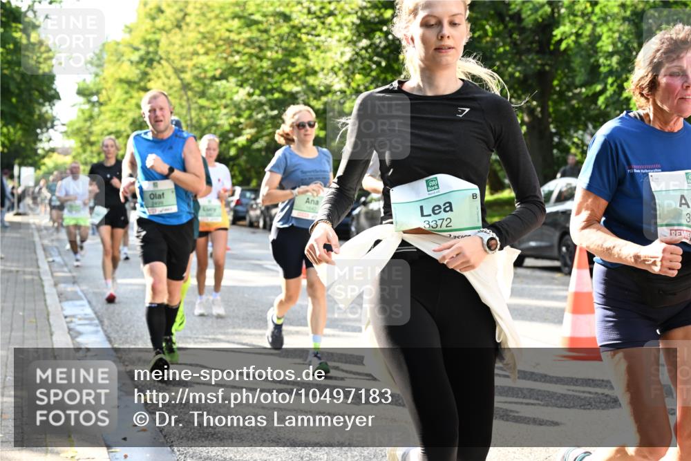 20.09.2026 - PSD Bank Halbmarathon Dr. Thomas Lammeyer http://msf.ph/oto/10497183 20.09.2026 10:46:41 Laufen 2499, 7, 3372, 1642, 3 meine-sportfotos.de
