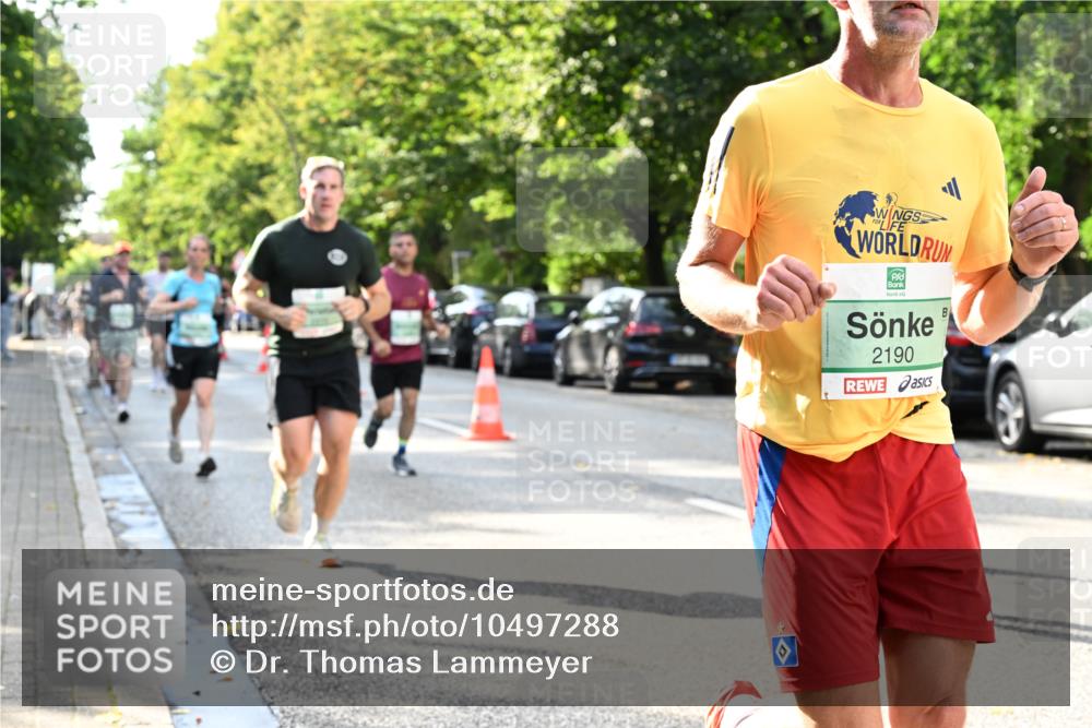 20.09.2026 - PSD Bank Halbmarathon Dr. Thomas Lammeyer http://msf.ph/oto/10497288 20.09.2026 10:46:56 Laufen 2190 meine-sportfotos.de