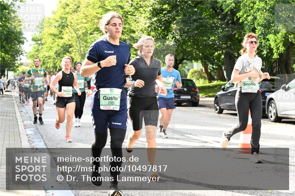 20.09.2026 - PSD Bank Halbmarathon Dr. Thomas Lammeyer http://msf.ph/oto/10497817 20.09.2026 10:48:18 Laufen 1818, 2953, 3281, 1213 meine-sportfotos.de