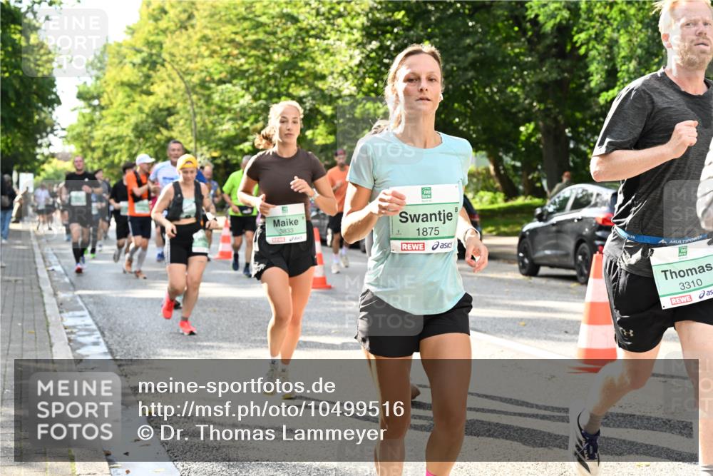 20.09.2026 - PSD Bank Halbmarathon Dr. Thomas Lammeyer http://msf.ph/oto/10499516 20.09.2026 10:50:50 Laufen 3833, 1875, 3310 meine-sportfotos.de