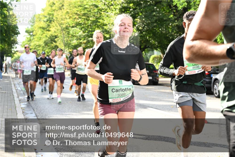 20.09.2026 - PSD Bank Halbmarathon Dr. Thomas Lammeyer http://msf.ph/oto/10499648 20.09.2026 10:51:03 Laufen 3389, 4696 meine-sportfotos.de