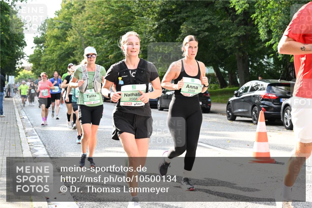 20.09.2026 - PSD Bank Halbmarathon Dr. Thomas Lammeyer http://msf.ph/oto/10500134 20.09.2026 10:52:03 Laufen 3314, 3568, 2559 meine-sportfotos.de