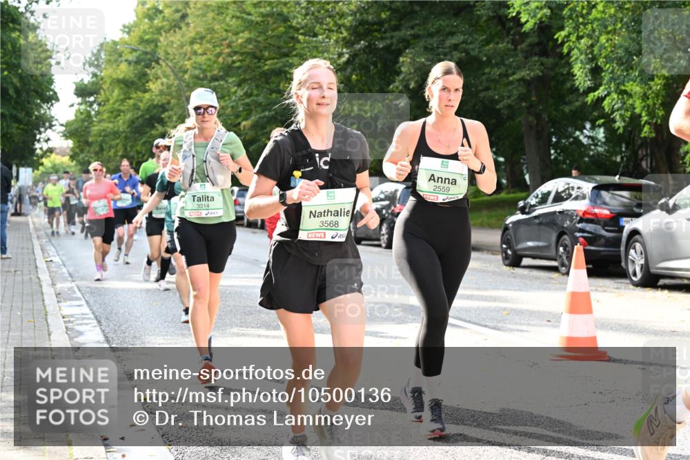 20.09.2026 - PSD Bank Halbmarathon Dr. Thomas Lammeyer http://msf.ph/oto/10500136 20.09.2026 10:52:03 Laufen 3314, 3568, 2559 meine-sportfotos.de