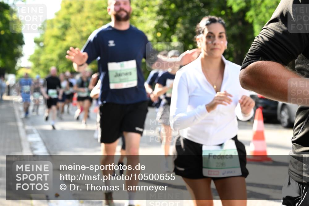 20.09.2026 - PSD Bank Halbmarathon Dr. Thomas Lammeyer http://msf.ph/oto/10500655 20.09.2026 10:53:09 Laufen 228 meine-sportfotos.de