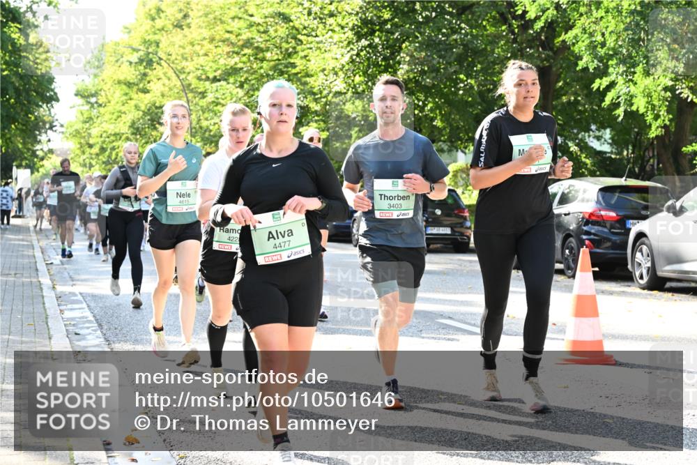 20.09.2026 - PSD Bank Halbmarathon Dr. Thomas Lammeyer http://msf.ph/oto/10501646 20.09.2026 10:55:46 Laufen 4615, 422, 4477, 3403 meine-sportfotos.de