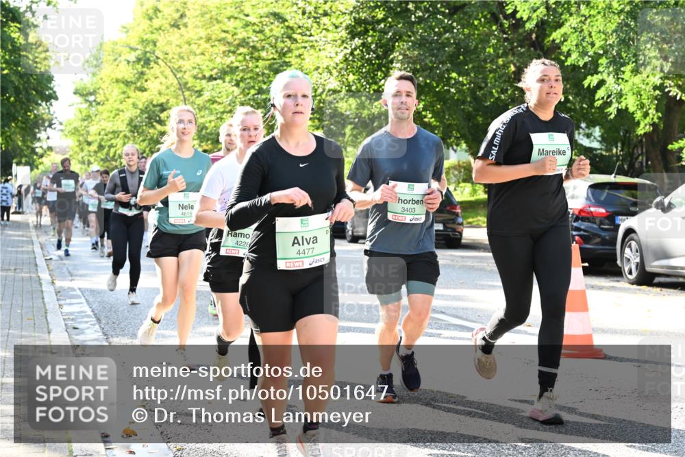 20.09.2026 - PSD Bank Halbmarathon Dr. Thomas Lammeyer http://msf.ph/oto/10501647 20.09.2026 10:55:47 Laufen 4615, 4228, 4477, 5, 3403 meine-sportfotos.de