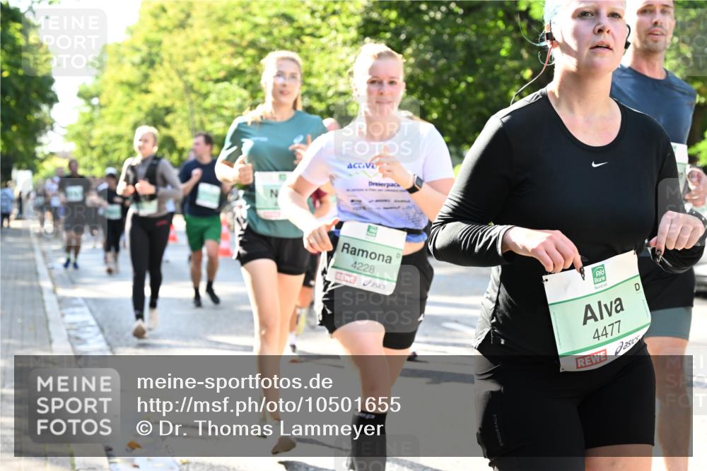 20.09.2026 - PSD Bank Halbmarathon Dr. Thomas Lammeyer http://msf.ph/oto/10501655 20.09.2026 10:55:47 Laufen 4228, 4477 meine-sportfotos.de