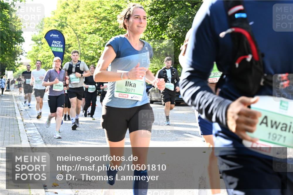 20.09.2026 - PSD Bank Halbmarathon Dr. Thomas Lammeyer http://msf.ph/oto/10501810 20.09.2026 10:56:13 Laufen 02, 15, 1, 3970, 3971, 1971 meine-sportfotos.de