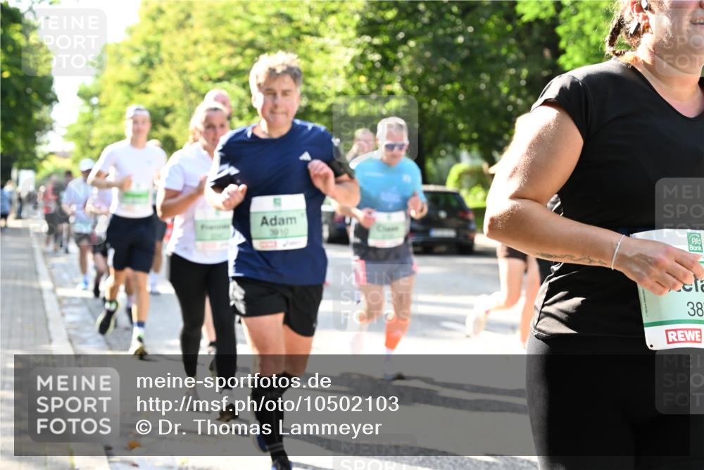 20.09.2026 - PSD Bank Halbmarathon Dr. Thomas Lammeyer http://msf.ph/oto/10502103 20.09.2026 10:56:54 Laufen 38 meine-sportfotos.de