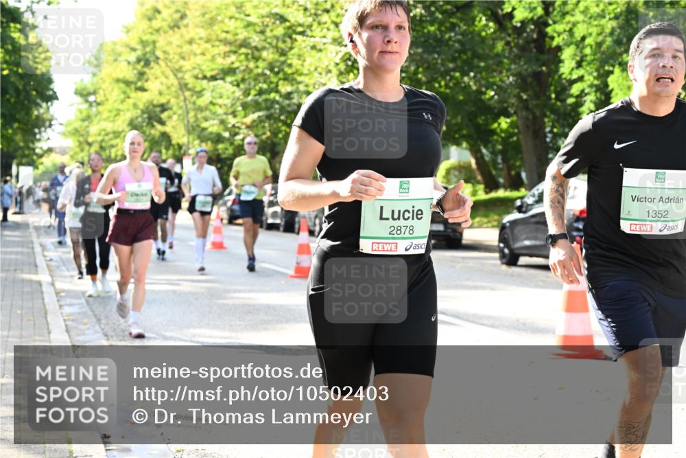 20.09.2026 - PSD Bank Halbmarathon Dr. Thomas Lammeyer http://msf.ph/oto/10502403 20.09.2026 10:57:31 Laufen 2878, 1352 meine-sportfotos.de
