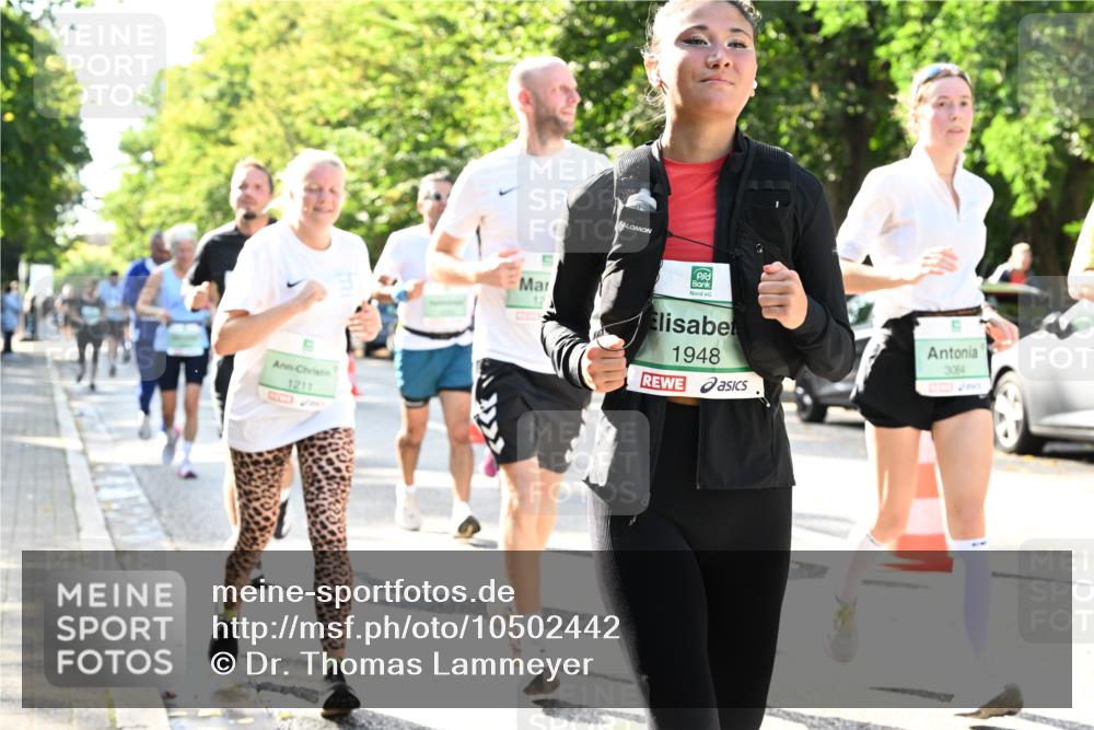20.09.2026 - PSD Bank Halbmarathon Dr. Thomas Lammeyer http://msf.ph/oto/10502442 20.09.2026 10:57:35 Laufen 1211, 12, 1948, 3064 meine-sportfotos.de