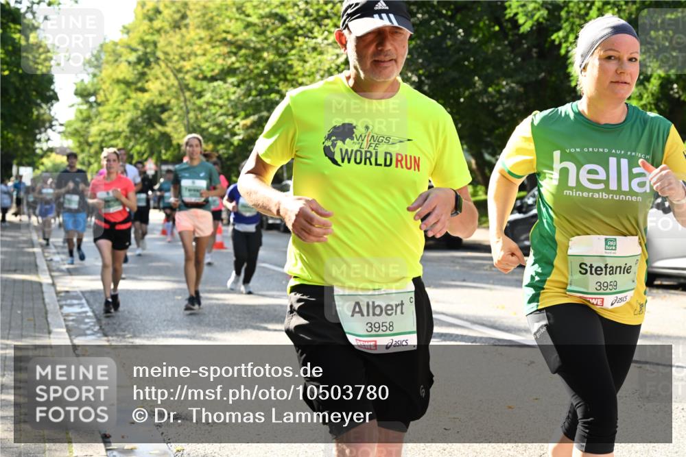 20.09.2026 - PSD Bank Halbmarathon Dr. Thomas Lammeyer http://msf.ph/oto/10503780 20.09.2026 11:00:00 Laufen 3958, 3959 meine-sportfotos.de