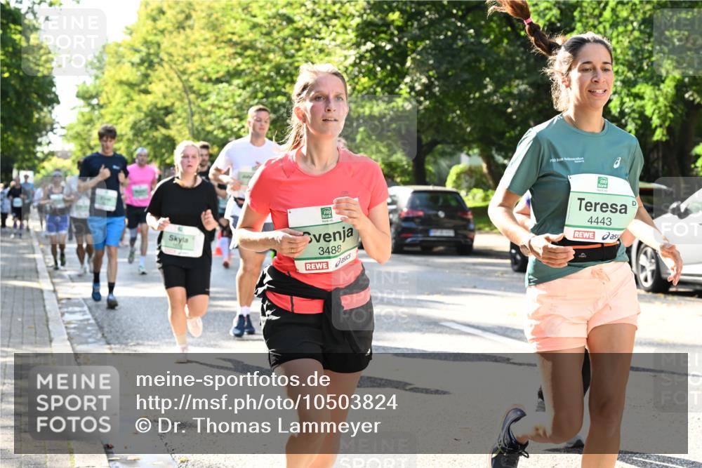 20.09.2026 - PSD Bank Halbmarathon Dr. Thomas Lammeyer http://msf.ph/oto/10503824 20.09.2026 11:00:03 Laufen 3488, 4443 meine-sportfotos.de