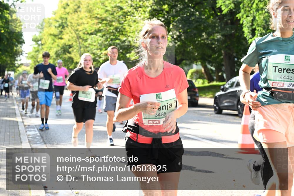 20.09.2026 - PSD Bank Halbmarathon Dr. Thomas Lammeyer http://msf.ph/oto/10503825 20.09.2026 11:00:03 Laufen 3488, 4443 meine-sportfotos.de