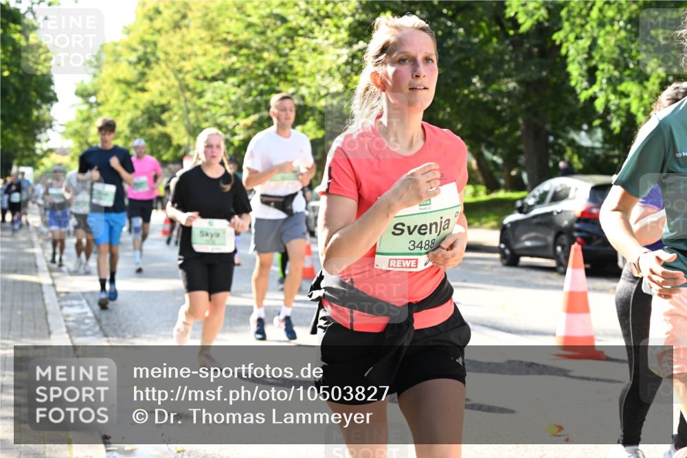 20.09.2026 - PSD Bank Halbmarathon Dr. Thomas Lammeyer http://msf.ph/oto/10503827 20.09.2026 11:00:04 Laufen 3488 meine-sportfotos.de