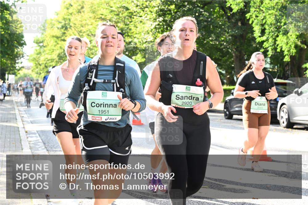 20.09.2026 - PSD Bank Halbmarathon Dr. Thomas Lammeyer http://msf.ph/oto/10503992 20.09.2026 11:00:18 Laufen 1951, 2920, 3343 meine-sportfotos.de