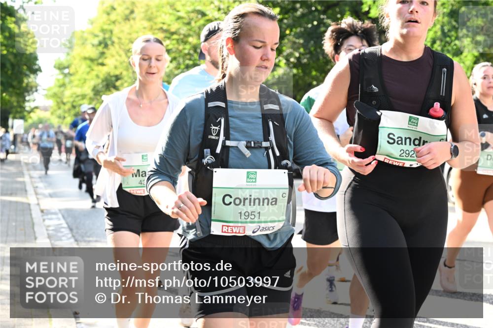 20.09.2026 - PSD Bank Halbmarathon Dr. Thomas Lammeyer http://msf.ph/oto/10503997 20.09.2026 11:00:18 Laufen 43, 1951, 292 meine-sportfotos.de