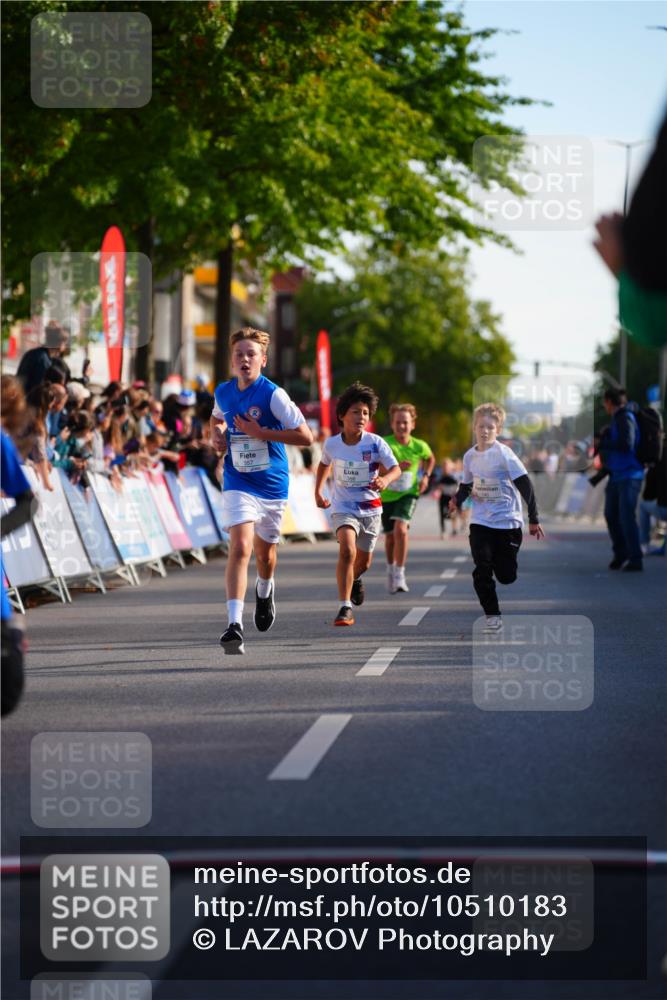 20.09.2026 - PSD Bank Halbmarathon LAZAROV Photography http://msf.ph/oto/10510183 20.09.2026 10:29:33 Laufen 368 meine-sportfotos.de