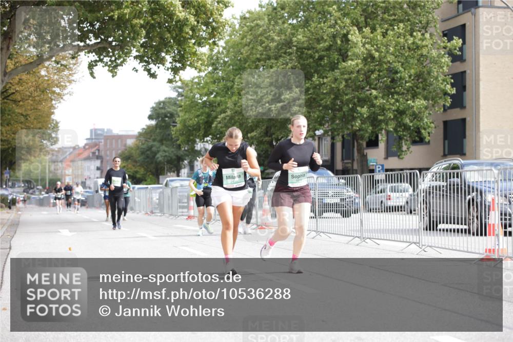 20.09.2026 - PSD Bank Halbmarathon Jannik Wohlers http://msf.ph/oto/10536288 20.09.2026 12:56:08 Laufen 2411 meine-sportfotos.de