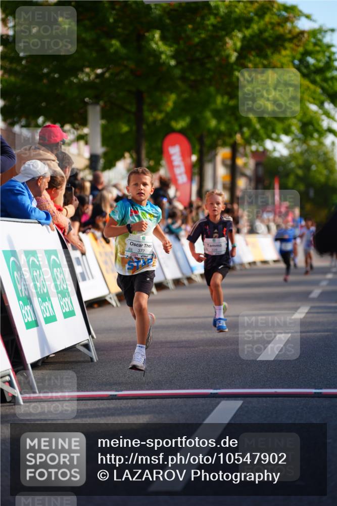 20.09.2026 - PSD Bank Halbmarathon LAZAROV Photography http://msf.ph/oto/10547902 20.09.2026 10:29:28 Ziel 102, 137, 181, 228, 377, 406 meine-sportfotos.de