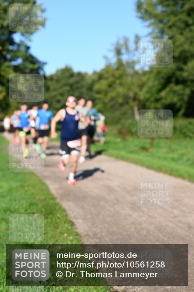 27.09.2026 - 35. Volkslauf durch das schöne Alstertal Dr. Thomas Lammeyer http://msf.ph/oto/10561258 27.09.2026 10:04:12 Laufen  meine-sportfotos.de
