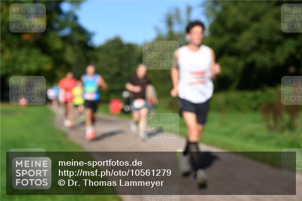 27.09.2026 - 34. Volkslauf durch das schöne Alstertal Dr. Thomas Lammeyer http://msf.ph/oto/10561279 27.09.2026 10:04:16 Laufen  meine-sportfotos.de