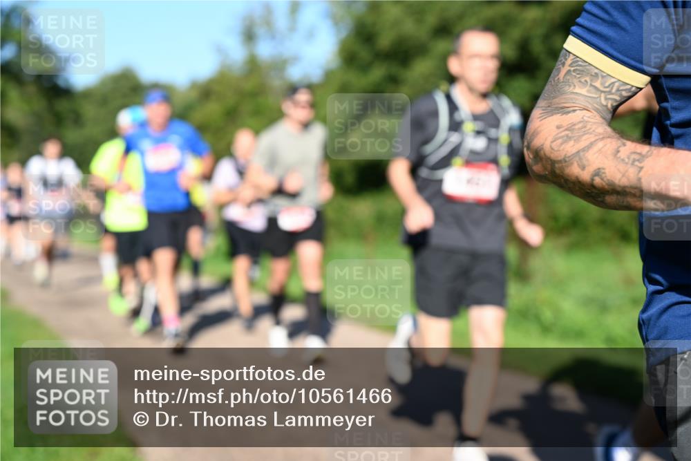 27.09.2026 - 35. Volkslauf durch das schöne Alstertal Dr. Thomas Lammeyer http://msf.ph/oto/10561466 27.09.2026 10:04:47 Laufen  meine-sportfotos.de