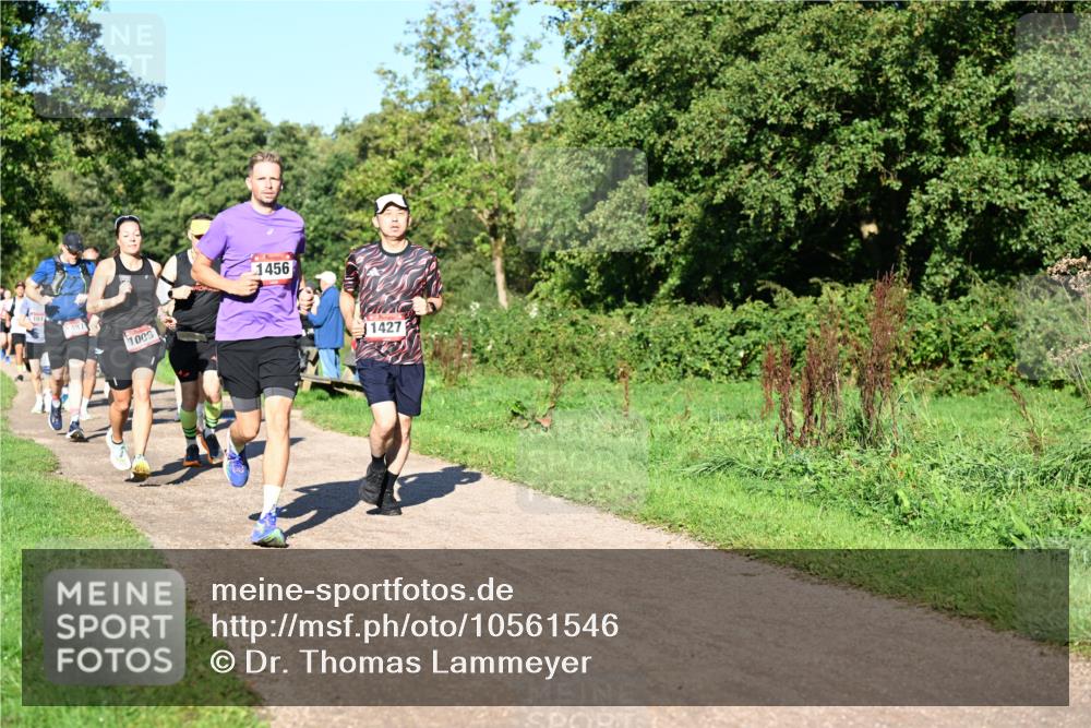 27.09.2026 - 34. Volkslauf durch das schöne Alstertal Dr. Thomas Lammeyer http://msf.ph/oto/10561546 27.09.2026 10:05:02 Laufen 1009, 1456, 1427 meine-sportfotos.de