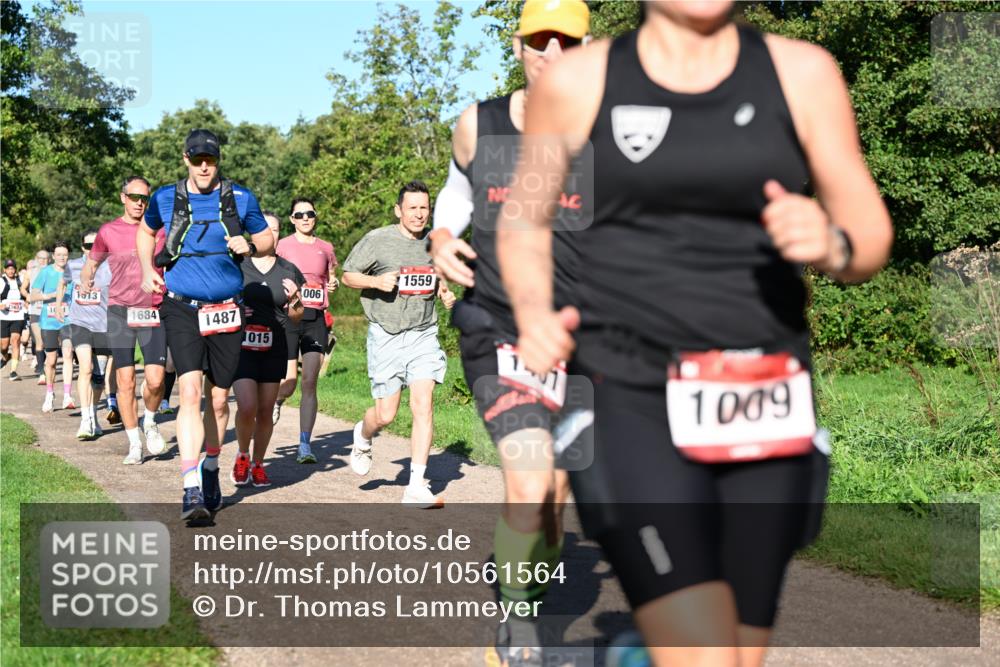 27.09.2026 - 35. Volkslauf durch das schöne Alstertal Dr. Thomas Lammeyer http://msf.ph/oto/10561564 27.09.2026 10:05:05 Laufen 1513, 1563, 1684, 1487, 1015, 006, 1559, 1009 meine-sportfotos.de