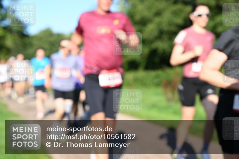 27.09.2026 - 35. Volkslauf durch das schöne Alstertal Dr. Thomas Lammeyer http://msf.ph/oto/10561582 27.09.2026 10:05:08 Laufen  meine-sportfotos.de