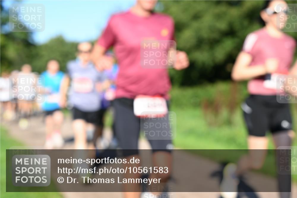 27.09.2026 - 35. Volkslauf durch das schöne Alstertal Dr. Thomas Lammeyer http://msf.ph/oto/10561583 27.09.2026 10:05:08 Laufen  meine-sportfotos.de