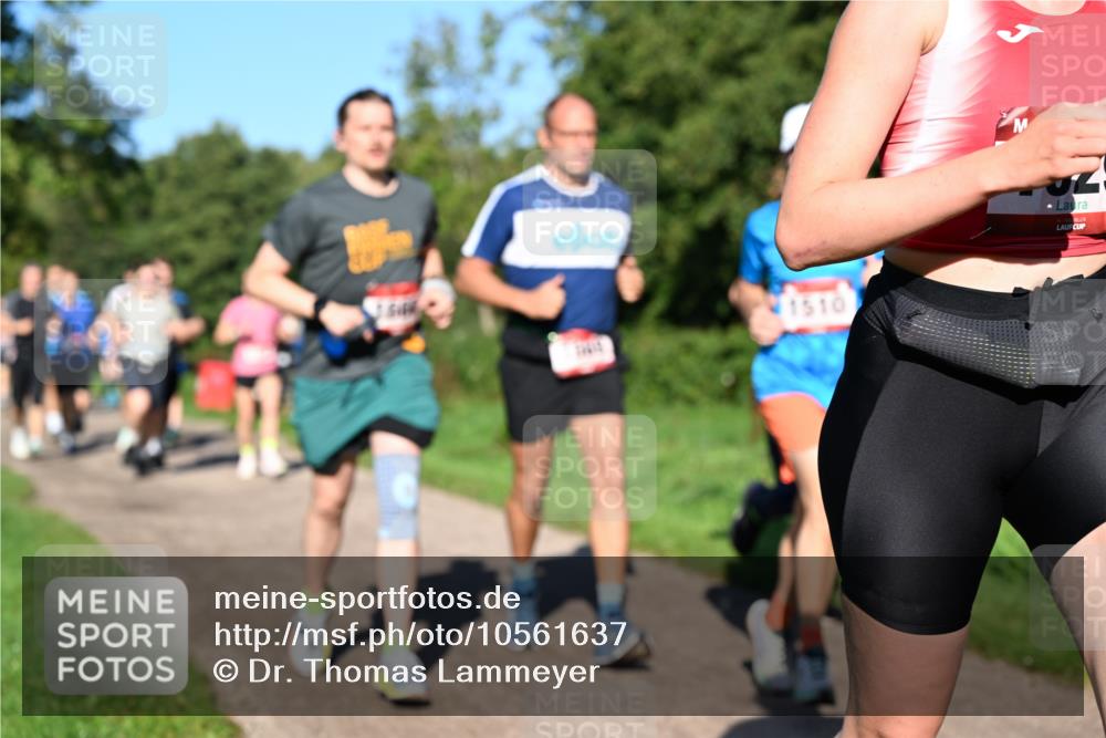 27.09.2026 - 35. Volkslauf durch das schöne Alstertal Dr. Thomas Lammeyer http://msf.ph/oto/10561637 27.09.2026 10:05:18 Laufen 1510 meine-sportfotos.de