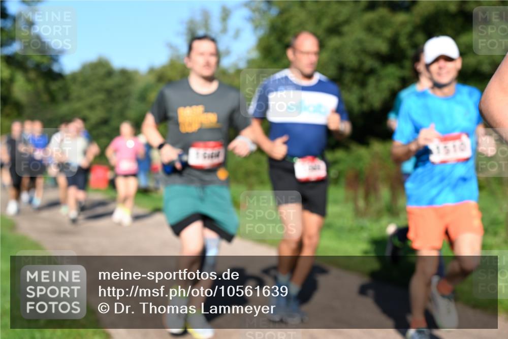 27.09.2026 - 35. Volkslauf durch das schöne Alstertal Dr. Thomas Lammeyer http://msf.ph/oto/10561639 27.09.2026 10:05:18 Laufen 1510 meine-sportfotos.de