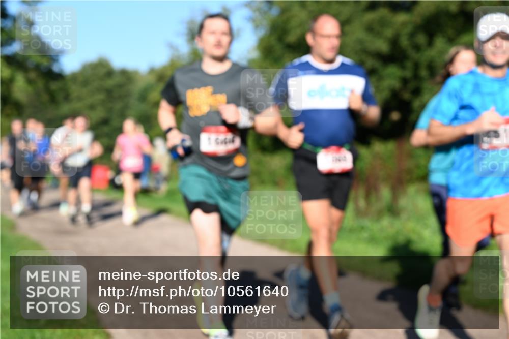 27.09.2026 - 35. Volkslauf durch das schöne Alstertal Dr. Thomas Lammeyer http://msf.ph/oto/10561640 27.09.2026 10:05:18 Laufen  meine-sportfotos.de