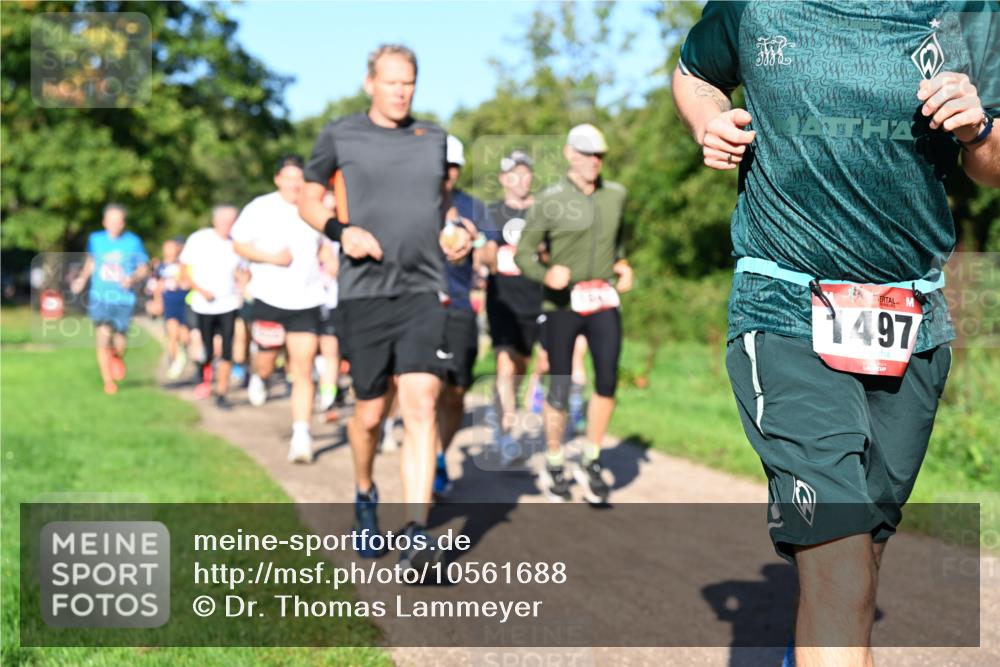 27.09.2026 - 35. Volkslauf durch das schöne Alstertal Dr. Thomas Lammeyer http://msf.ph/oto/10561688 27.09.2026 10:05:30 Laufen 1497 meine-sportfotos.de