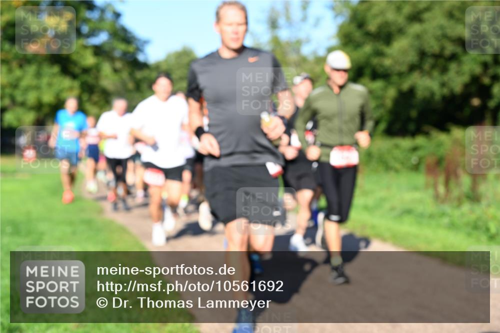 27.09.2026 - 35. Volkslauf durch das schöne Alstertal Dr. Thomas Lammeyer http://msf.ph/oto/10561692 27.09.2026 10:05:31 Laufen  meine-sportfotos.de